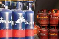lpg cylinder prices increased new year 2026 find out new prices from noida to lucknow