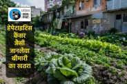 MP news Patrika Padtal big reveals poisonous vegetables in Bhopal