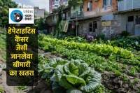 MP news Patrika Padtal big reveals poisonous vegetables in Bhopal