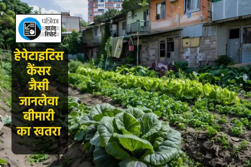 MP news Patrika Padtal big reveals poisonous vegetables in Bhopal