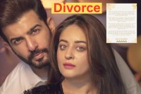 Mahhi Vij and Jay Bhanushali Divorce