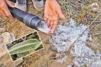 Weather Update Meteorological Department Prediction today Rajasthan 11 districts cold wave alert IMD