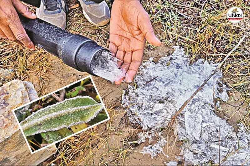 Weather Update Meteorological Department Prediction today Rajasthan 11 districts cold wave alert IMD