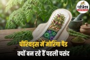 Moringa Pads