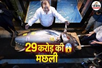 Most Expensive Fish