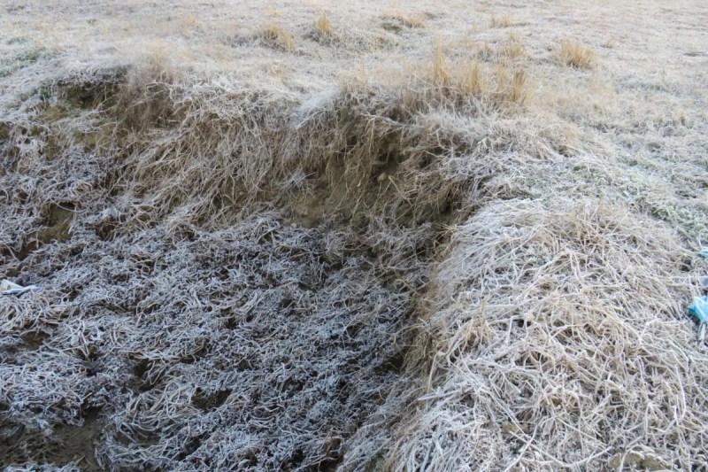 Weather Report, Mount Abu, Mount Abu Weather Report, Mount Abu Temperature, Mount Abu Minus Five Degree Temperature, Winter in Mount Abu, Winter Alert, वेदर रिपोर्ट, माउंट आबू, माउंट आबू वेदर रिपोर्ट, माउंट आबू तापमान, माउंट आबू माइनस पांच डिग्री तापमान, माउंट आबू में सर्दी, सर्दी अलर्ट