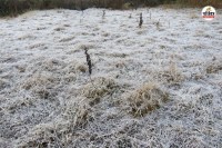 Mount-Abu-Weather-Update