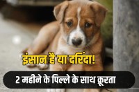 Man rapes 2-month-old puppy in Mumbai