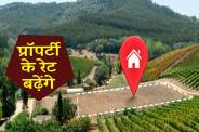 Property rates