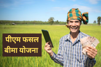 Kharif Crop Insurance scheme Farmers Compensation Relief MP News