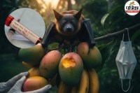 Nipah Virus Alert