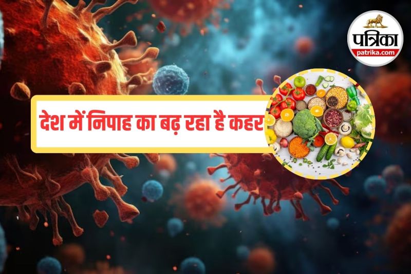 Nipah Virus updates, Nipah Virus alert, safety measures for Nipah Virus,