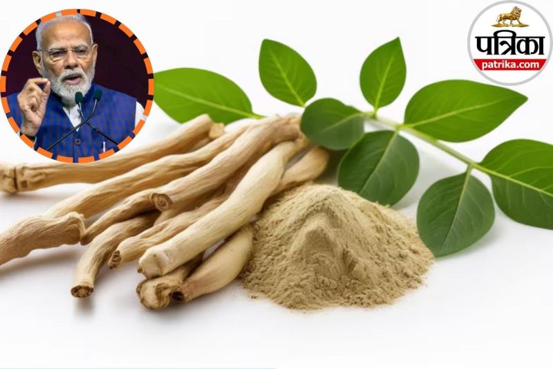 Ashwagandha for type 2 diabetes, Ashwagandha,