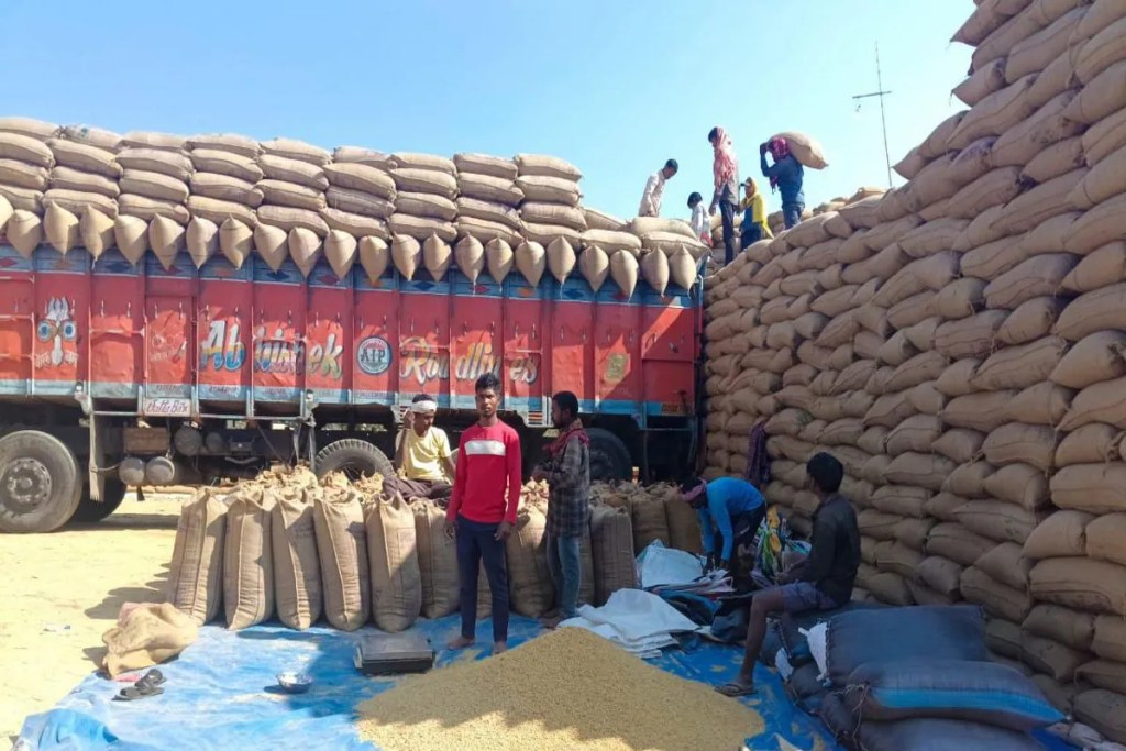 Paddy procurement