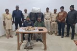 Pangolin scales smuggling