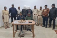 Pangolin scales smuggling