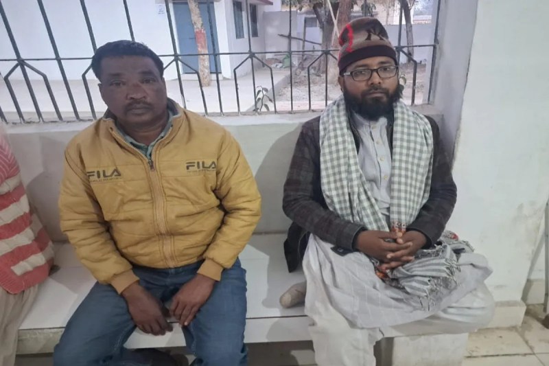 Pangolin scales seized