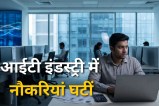 IT industry TCS job cuts