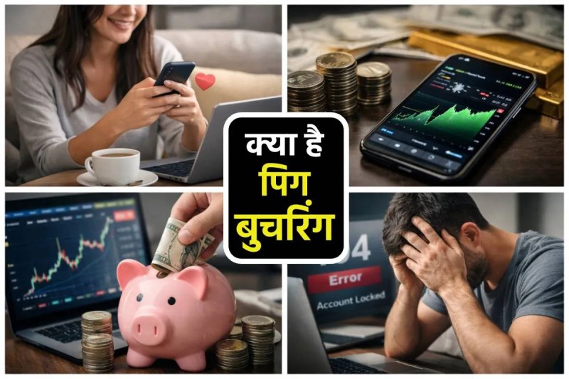 Pig Butchering Scam indore cyber fraud