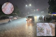 Rain And Hailstorm
