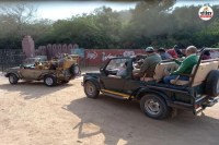 Ranthambore-tourist-vehicles