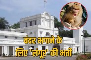 Rekha Gupta Government to recruit people to drive away monkeys