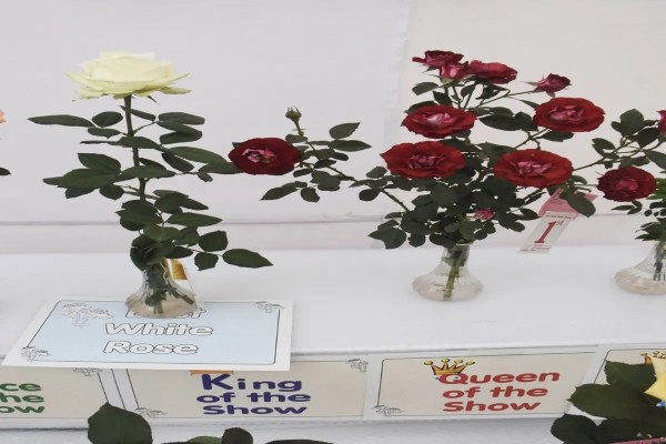 Roje Agjivition Bhopal