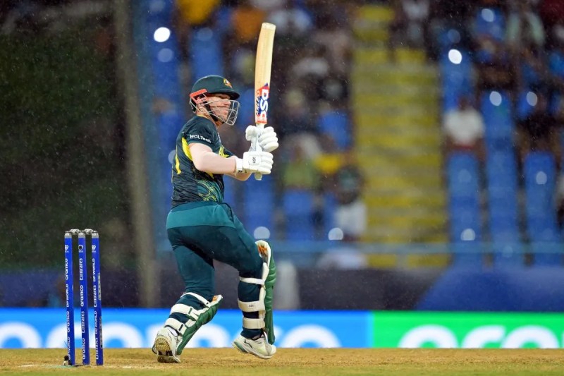 डेविड वार्नर (फोटो- IANS)