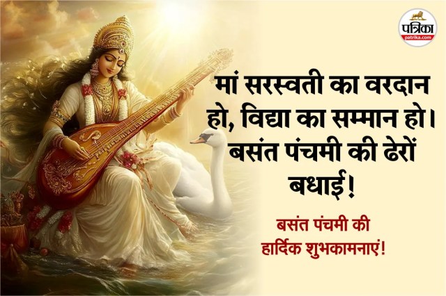 Blooming yellow mustard fields