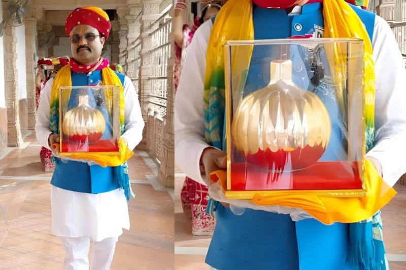 Sawariya-Seth-Silver-Garlic