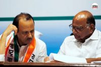 NCP merger news, NCP reunion, Sharad Pawar Ajit Pawar merger,