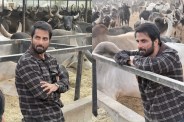 Sonu Sood Gaushala Help
