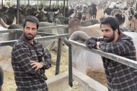 Sonu Sood Gaushala Help