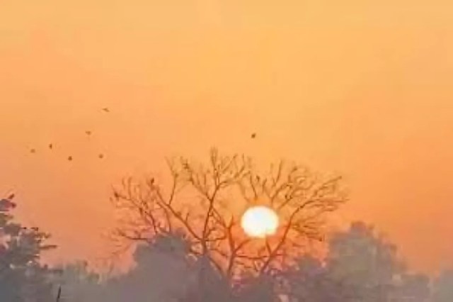 Sunshine Brings Relief to Lucknow