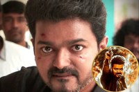 Thalapathy Vijay On Jan Nayakan Row