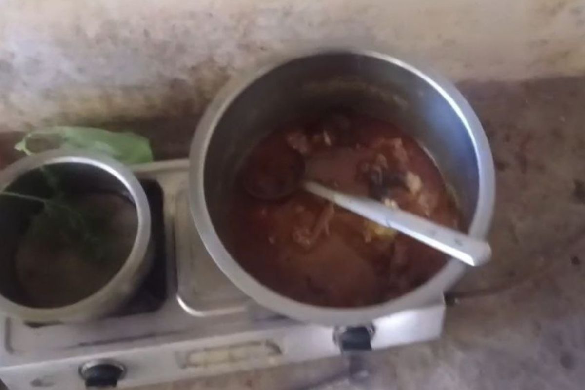 Gangapur City Chicken Party