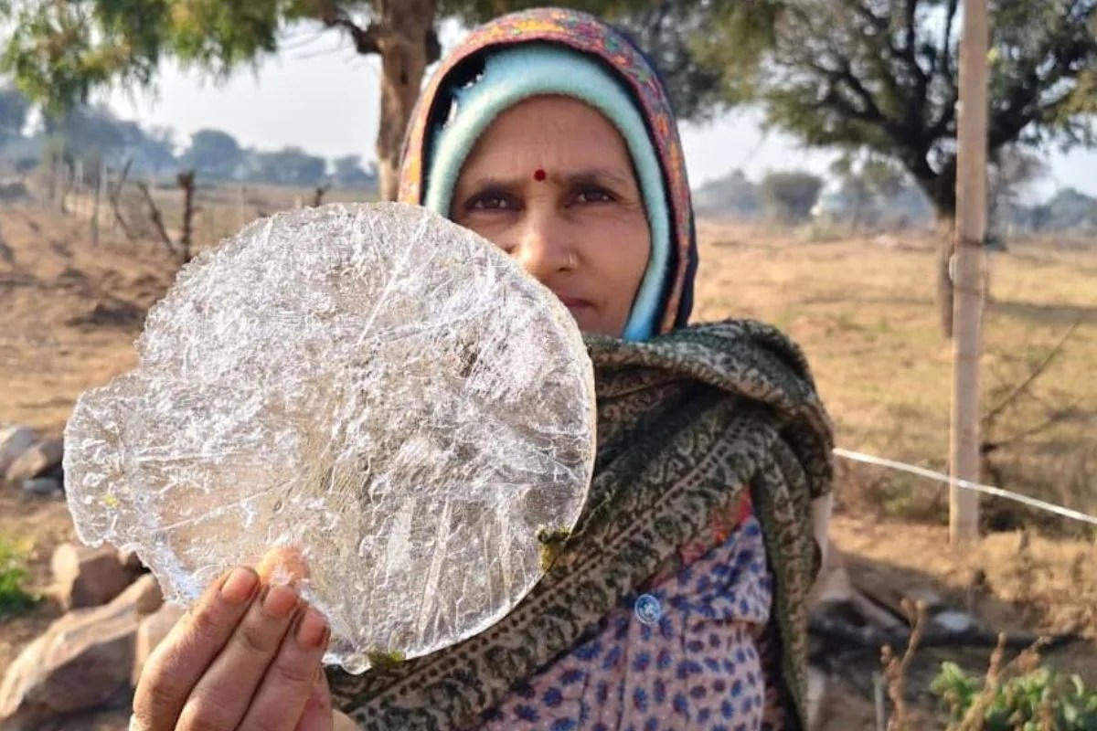 Rajasthan Weather Update