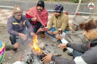 Weather Update Meteorological Department Prediction Rajasthan 10-12 January dense to very dense fog IMD alert