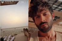 Who Is Kartik Aaryan goa Mystery Girl Karina Kubiliute Actor unfollow after dating rumors
