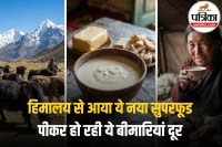 Yak Milk Benefits