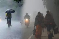 Severe Cold And Rain Alert