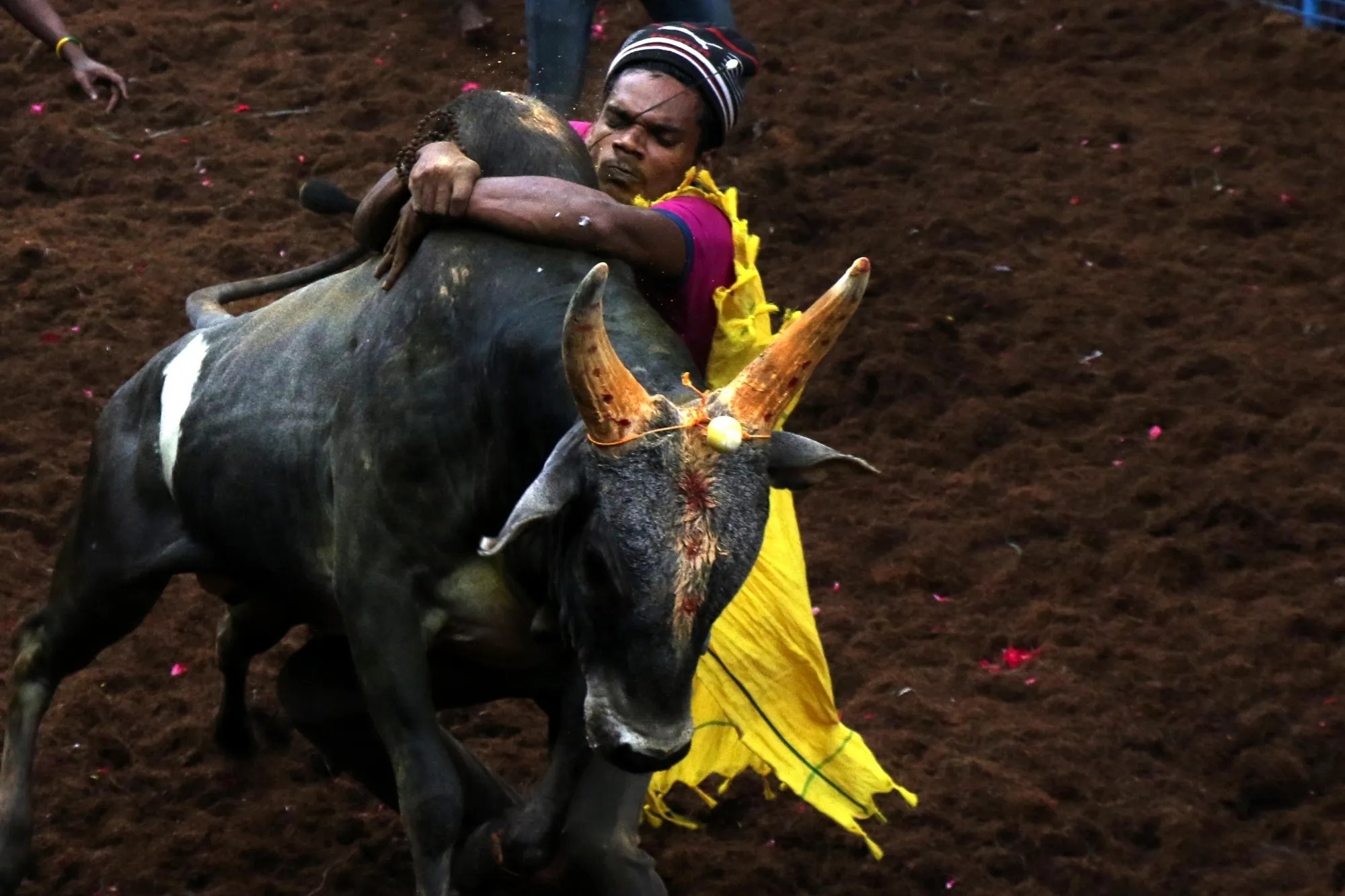 Jallikattu 2026