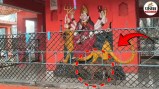 amazing dog temple parikrama bijnor