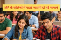 MP News Two Languages will be ​​Taught in Colleges new Syllabus Prepared in jabalpur