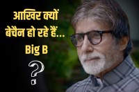 bIG B