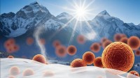 Bacteria reaching Himalayas with desert dust