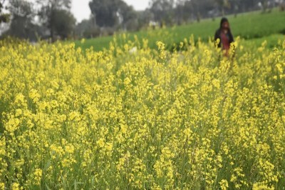 Short video poster image