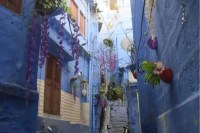 Blue City, Blue City Jodhpur, Blue City Jodhpur Story, Blue City Jodhpur History, Story of Blue City Jodhpur, Jodhpur News, Rajasthan News, ब्लू सिटी, ब्लू सिटी जोधपुर, ब्लू सिटी जोधपुर स्टोरी, ब्लू सिटी जोधपुर हिस्ट्री, कहानी ऑफ ब्लू सिटी जोधपुर, जोधपुर न्यूज, राजस्थान न्यूज