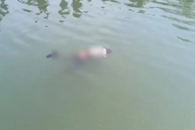 CG News: नहावन में शामिल होने जा रहे बुजुर्ग की नहर में डूबने से मौत, गांव में शोक का माहौल