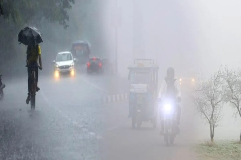 mp news rain alert weather update imd alert western disturbance